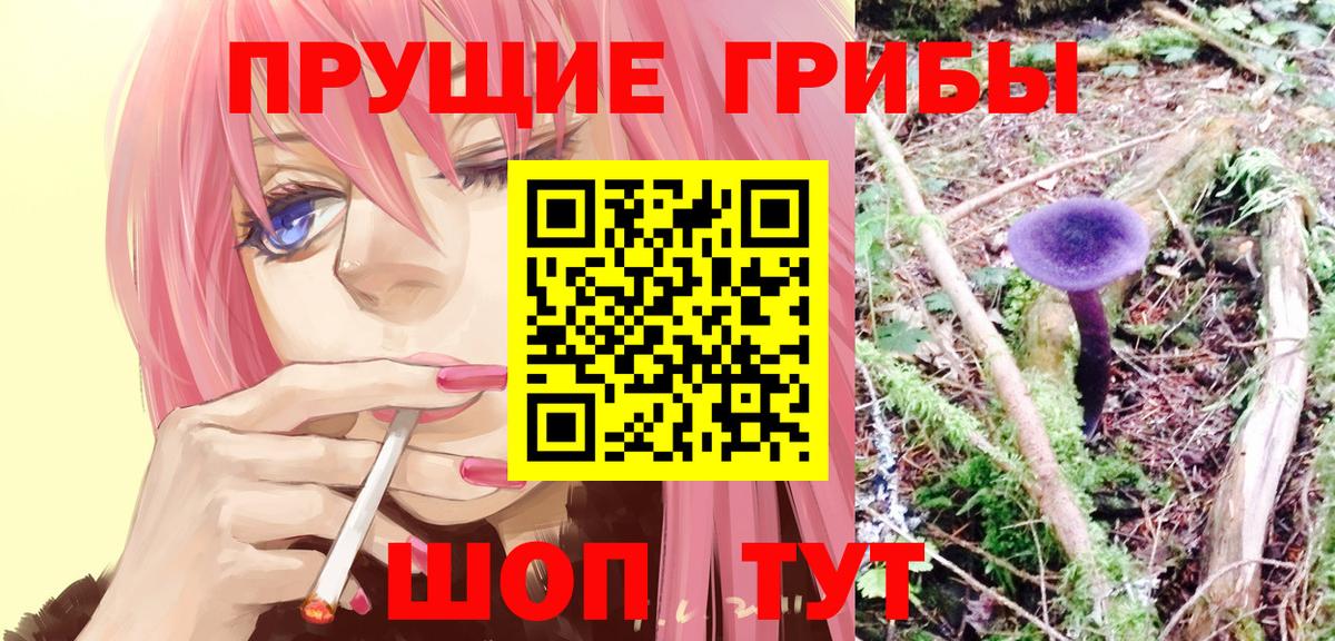 Усть-Джегута  Псилоцибиновые грибы мицелий  Псилоцибиновые грибы Psilocybe  Вход с VPN 
