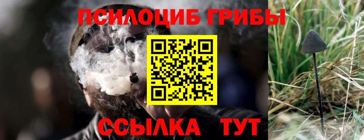 Псилоцибиновые грибы мицелий Усть-Джегута